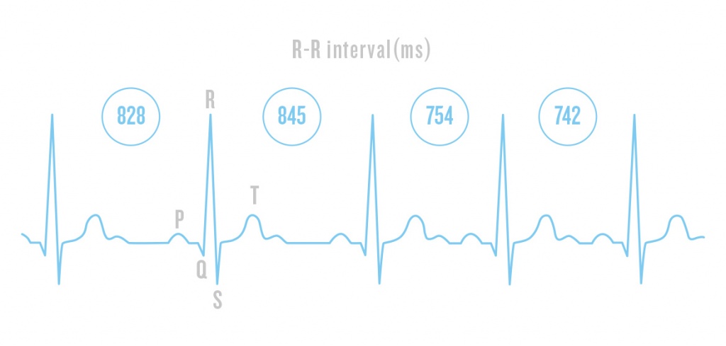 3health-science-heart-rate-variability.jpg